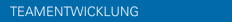 TEAMENTWICKLUNG